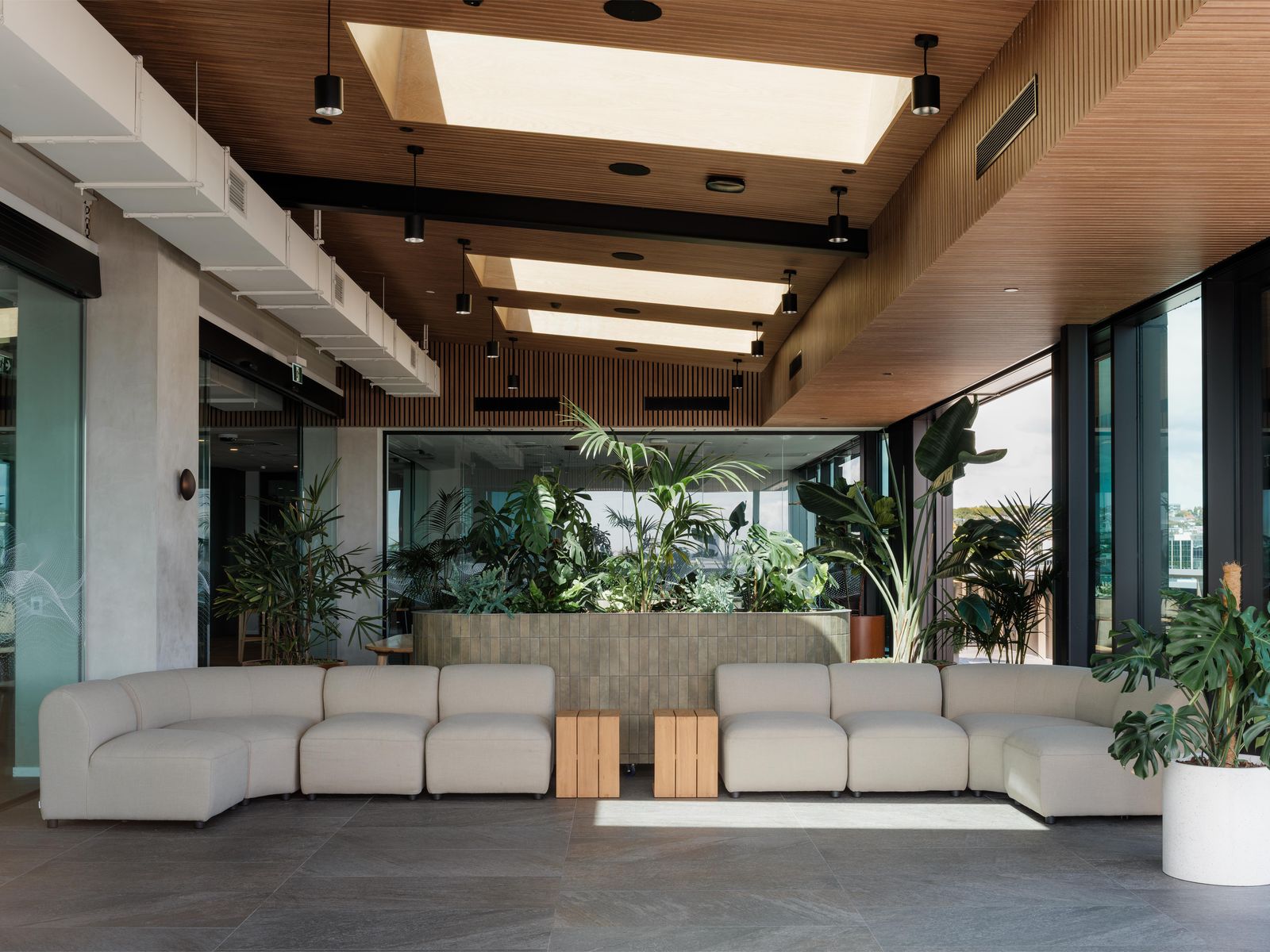 A light-filled office lounge with a large planter of palms and monstera behind modular sofas