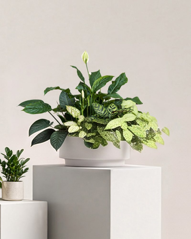 Medium Foliage Bowl
