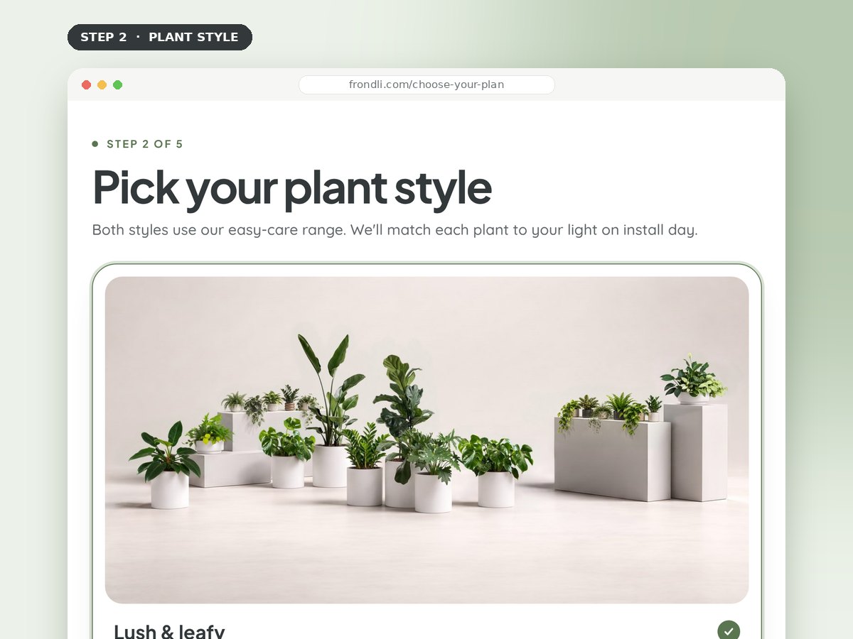 The plan builder, step 2: choosing lush and leafy or bold and structural plants